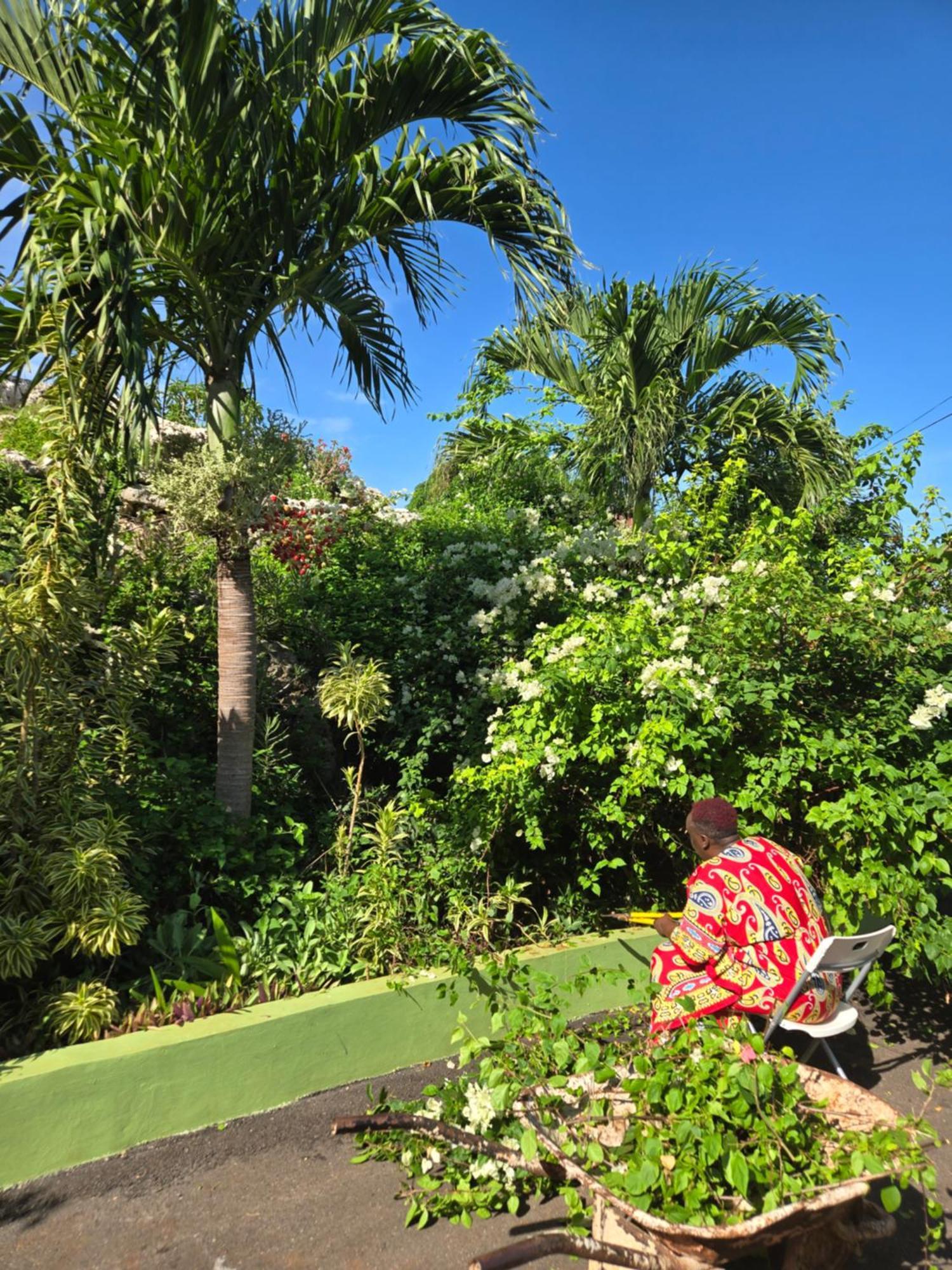 Eve'S Rockaway Villa Alligator Pond 外观 照片