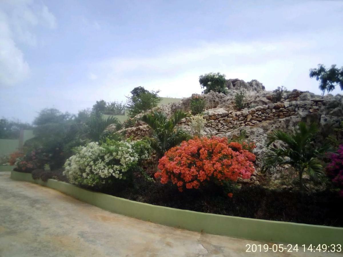 Eve'S Rockaway Villa Alligator Pond 外观 照片